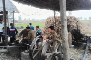 रॉयल बुलेटिन की खबर का बड़ा असर: प्लास्टिक कचरा जलाने और हरे पेड़ सुखाने वाले कोल्हुओं पर चला प्रशासन का हंटर