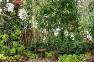 मार्च अप्रैल की तेज गर्मी में भी सूखेंगे नहीं आपके पौधे अगर किचन गार्डन की मिट्टी में मिला दें ये 7 खास चीजें पूरा बगीचा रहेगा हमेशा हरा भरा और सब्जियों से भरपूर