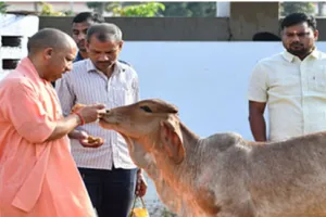 गोरखनाथ मंदिर की गोशाला में CM योगी ने ‘भोले’ नंदी महाराज को सहलाया, दिया सेवा और करुणा का संदेश