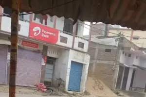  मशरक में बंदर ने तीन दिनों में 60 से ज्यादा लोगों को काटा