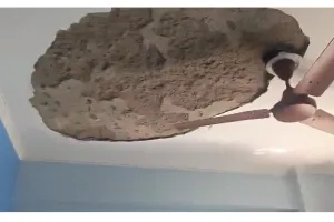 ग्रेटर नोएडा वेस्ट की रॉयल नेस्ट सोसाइटी में छत का प्लास्टर गिरा, युवक बाल-बाल बचा