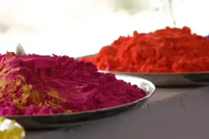 उत्तर प्रदेश में होली पर बरसा 'गोमाता' का आशीर्वाद, गोबर की राख और फूलों से महका प्राकृतिक गुलाल