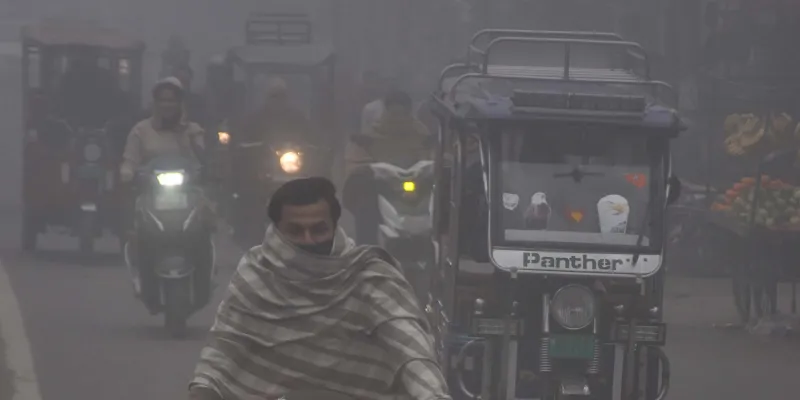 शामली में तीन दिनों से कोहरे का कहर, सुबह धुंध और शाम को सर्द हवाओं ने बढ़ाई ठंड