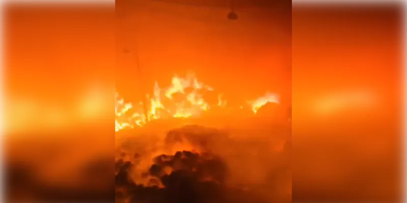 अमरोहा के रिहायशी इलाके में तांडव: कॉटन वेस्ट कारखाने में लगी भीषण आग, धू-धू कर जला लाखों का माल