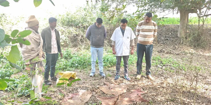 मुजफ्फरनगर के ककरौली क्षेत्र में वन्यजीव शिकार का मामला, नीलगाय के अवशेष बरामद