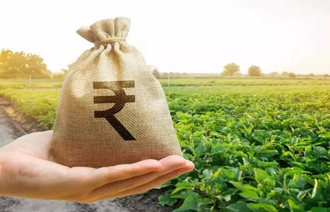 देश का तंबाकू निर्यात पांच वर्ष में बढ़कर 12,005 करोड़ रुपये के रिकॉर्ड स्तर पर