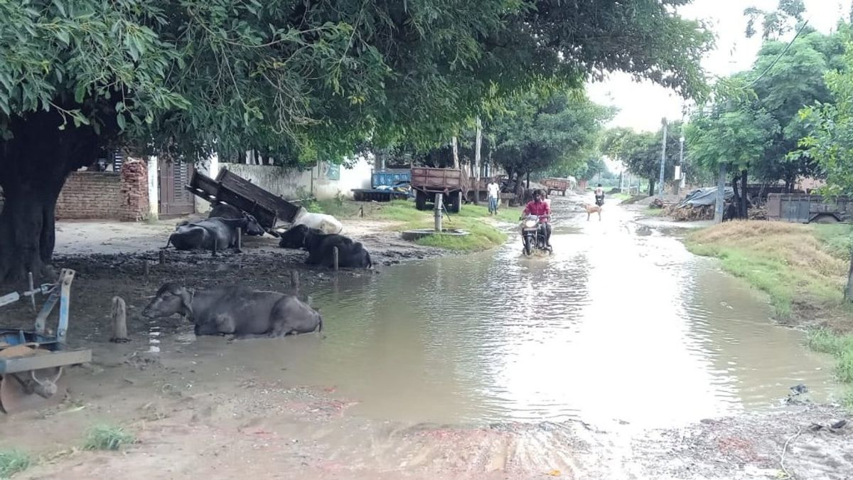 सम्भल में सड़क और गंदगी की दोहरी मार, ग्रामीणों का प्रदर्शन, कब्रिस्तान के पास कूड़े से भड़का गुस्सा