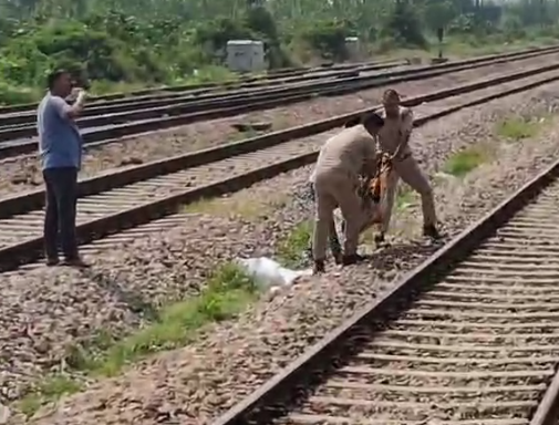 मुजफ्फरनगर में सोशल मीडिया की दीवानगी ने ली जान, रेलवे ट्रैक पर बना रहा था रील,मालगाड़ी की चपेट में आने से हुई मौत