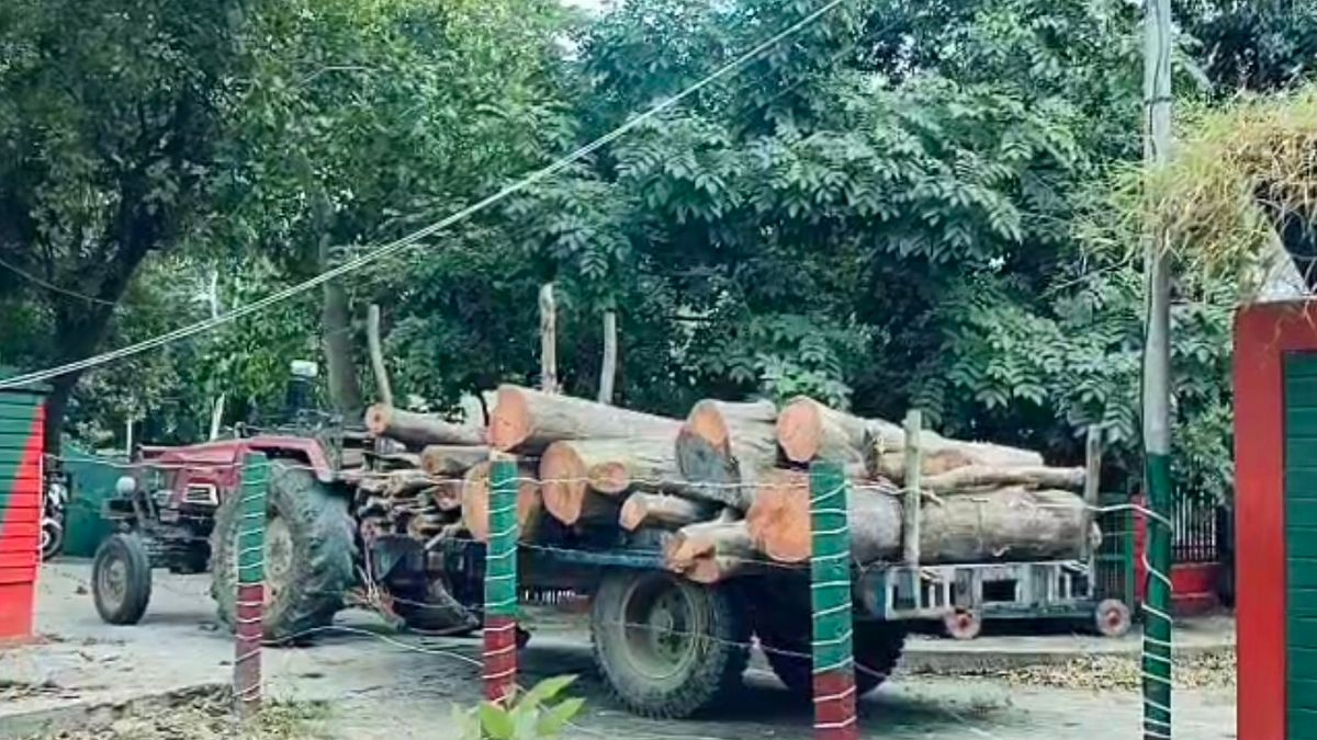 बिजनौर में वन विभाग की बड़ी कार्रवाई: सरकारी पेड़ों की अवैध कटाई और तस्करी का पर्दाफाश, ट्रैक्टर-ट्रॉली जब्त