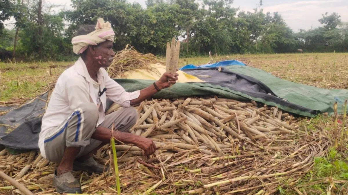 किसानों के लिए बड़ी राहत: 72 घंटे में फसल खराब की सूचना देने पर मिलेगा प्रधानमंत्री फसल बीमा योजना का मुआवजा