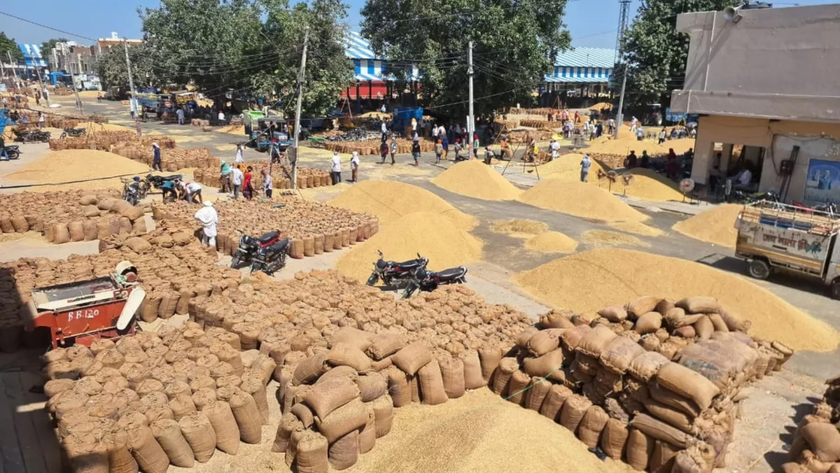 हरियाणा में राइस मिलिंग का महत्त्वपूर्ण अपडेट: सरकार ने मिलर्स की मांगे मानी, फिर भी मंडियों में धान की खरीद धीमी