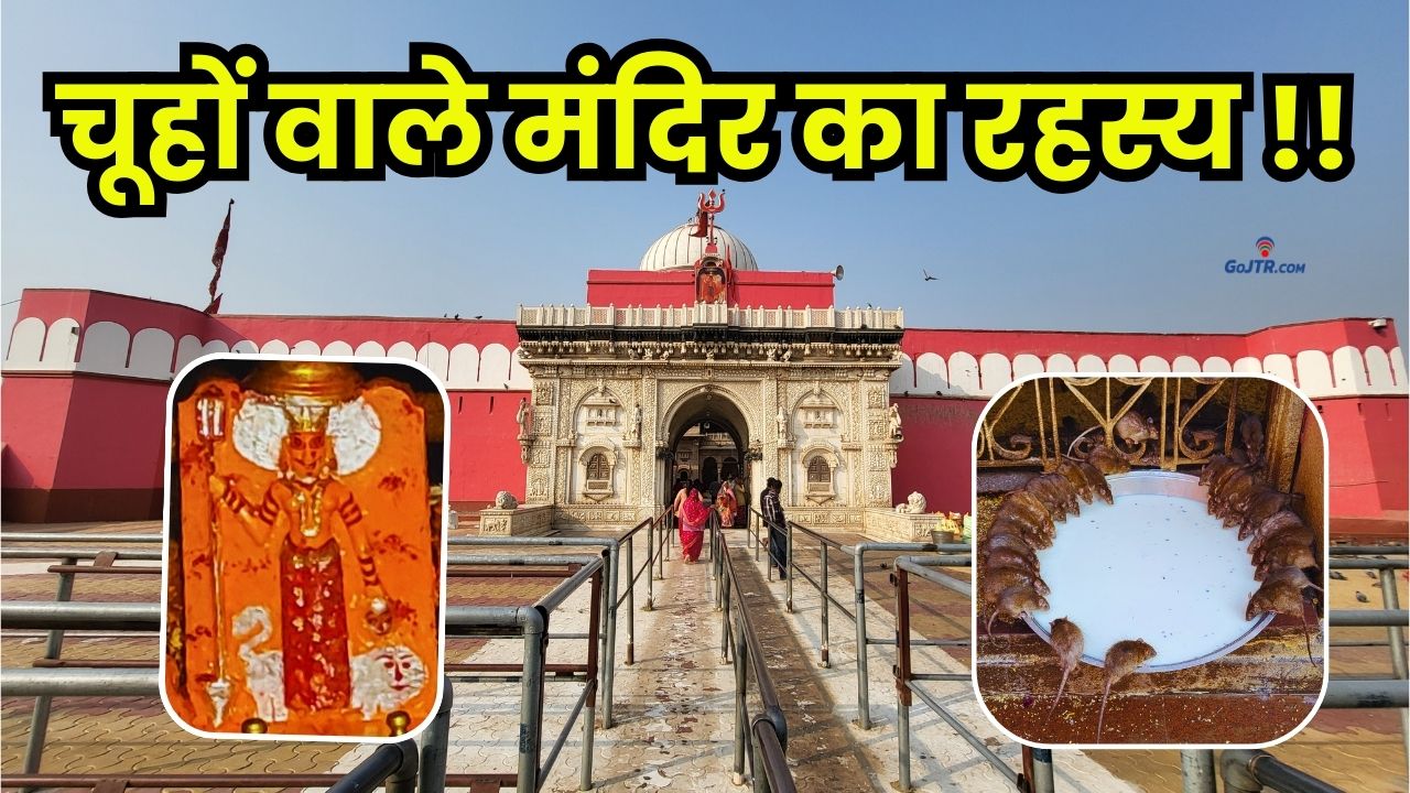 देशनोक का मंदिर किसी अजूबे से कम नहीं