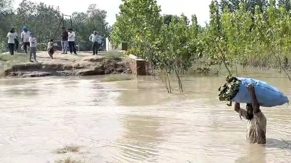 रामपुर का पसियापुर गांव बाढ़ से जलमग्न! मरीजों को ट्यूब पर चारपाई बांधकर पहुंचाया जा रहा अस्पताल- Rampur News