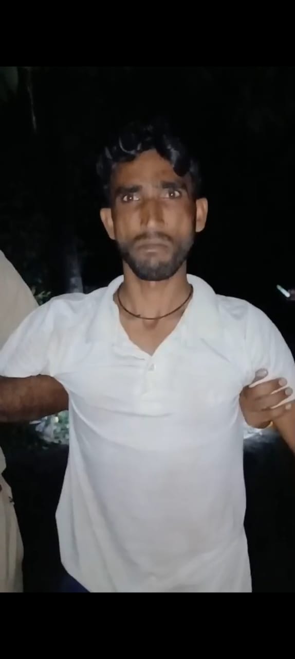 शामली में गौ तस्करों से मुठभेड़, एक गिरफ्तार, अवैध हथियार और गोवंश बरामद