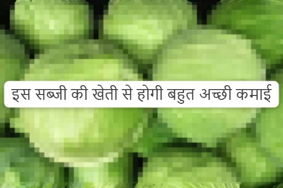 यह हरी पत्तेदार फसल किसानों को कम लागत में देती है बड़ा मुनाफा, बाजार में सालभर रहती है जबरदस्त मांग