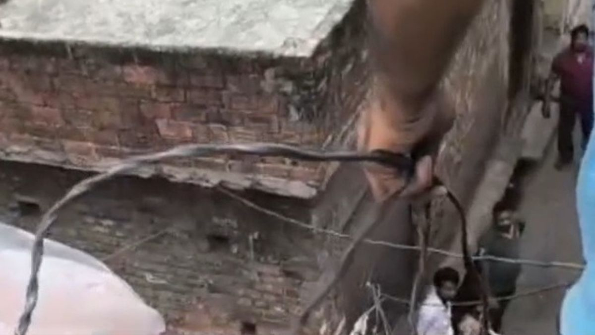 कटिया डालकर बिजली चोरी कर रहे चार लोग गिरफ्तार, अमरोहा में विद्युत विभाग का बड़ा अभियान