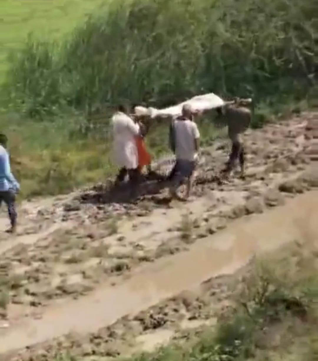 हमीरपुर में दलदल से गुजरी शव यात्रा, वीडियो वायरल होने पर योगी सरकार के विकास दावों पर उठे सवाल