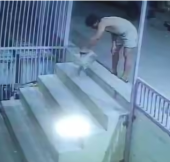 बुलंदशहर में ईर्ष्या की हद: पड़ोसी दुकान में रोज छोड़ता था चूहा, CCTV फुटेज देखकर दुकानदार हैरान