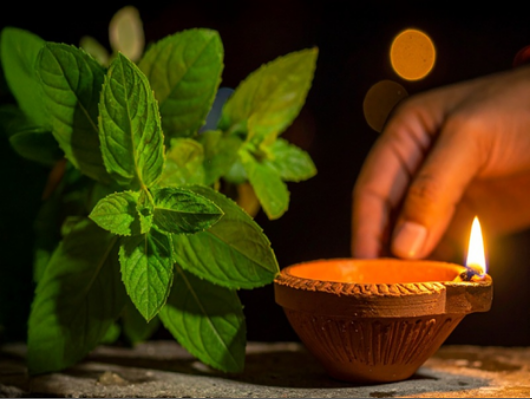 धर्म और स्वास्थ्य से जुड़ा कार्तिक मास, आयुर्वेद में लिखी गई है इसकी महिमा