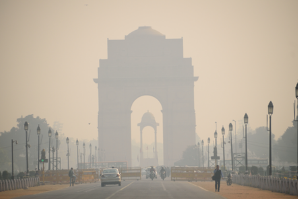 प्रदूषण में फेफड़ों को कैसे रखें मजबूत? इन चीजों को करें डाइट में शामिल