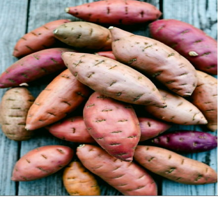 सर्दियों में शकरकंद खाने के अद्भुत फायदे: रोग प्रतिरोधक क्षमता से लेकर दिल की सेहत तक