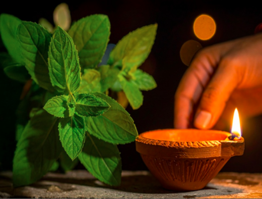 आंवला नवमी 2025: व्रत की तिथि, शुभ मुहूर्त, पूजन विधि और धार्मिक महत्व