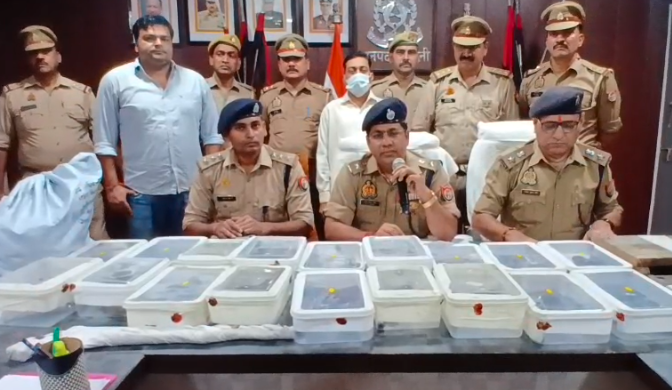 शामली के कैराना में पुलिस ने पकड़ी तमंचों की बड़ी खेप, एक आरोपी गिरफ्तार