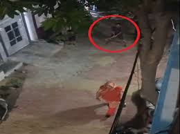 मेरठ में नशे में निर्वस्त्र होकर उत्पात मचाने वाला युवक गिरफ्तार, महिलाओं में रोष