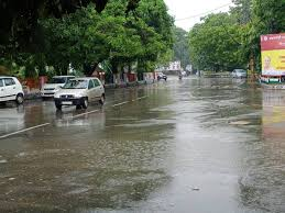 मेरठ में बारिश से बढ़ी सर्दी, धान की फसल को नुकसान, मौसम विभाग का अलर्ट