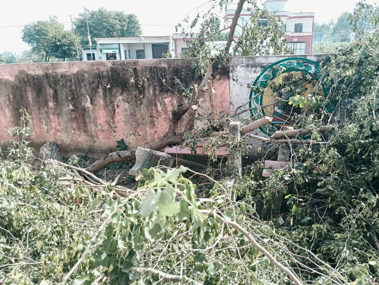मुजफ्फरनगर: प्राथमिक स्वास्थ्य केंद्र में पेड़ों की कटाई पर बवाल, डॉक्टर पर लगे गंभीर आरोप
