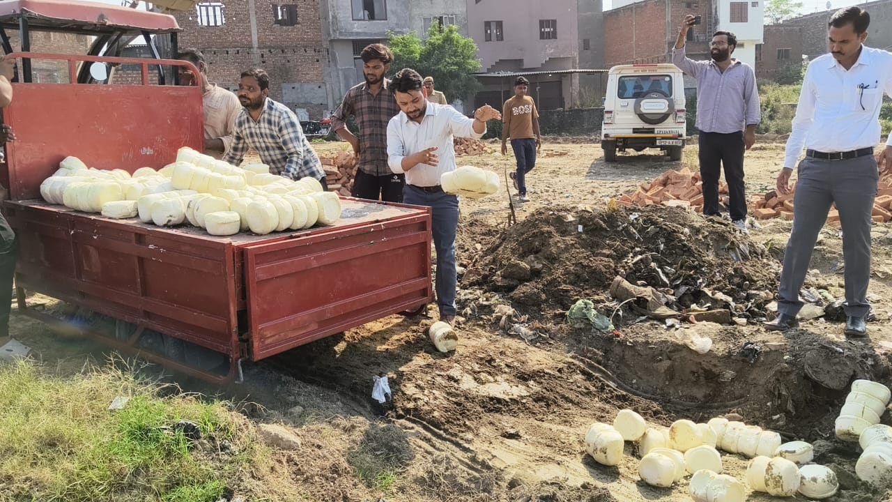 WhatsApp Image 2025-10-17 at 2.42.25 PM