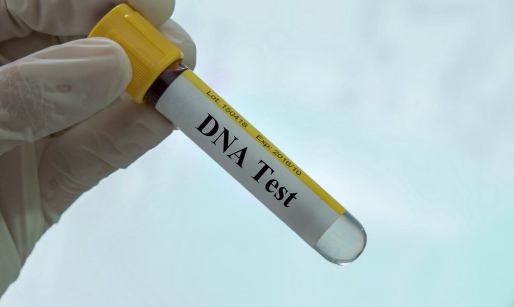 दिल्ली विस्फोट कार चला रहे व्यक्ति की माँ को जम्मू-कश्मीर के पुलवामा में डीएनए परीक्षण के लिए बुलाया गया