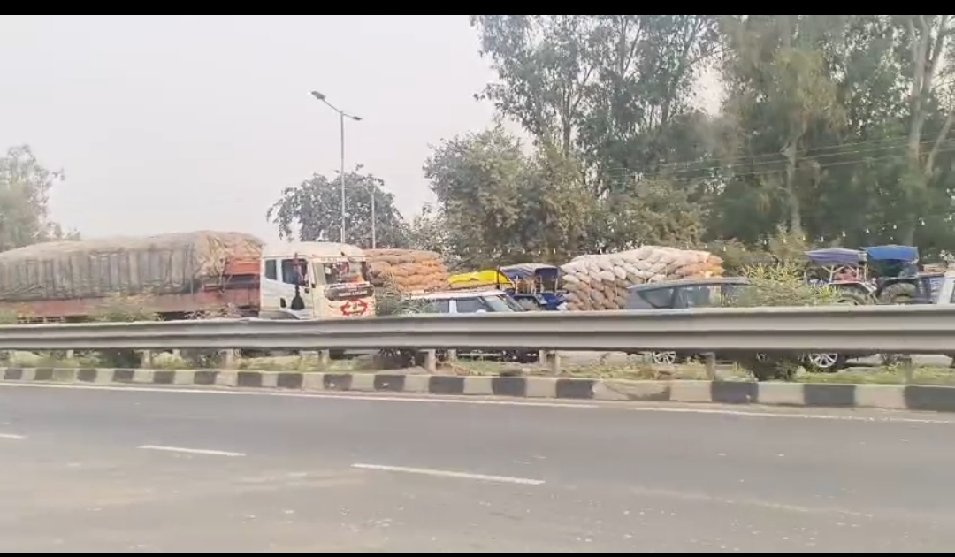 औरैया मंडी में धान की बंपर आवक से अफरातफरी, किसानों को घंटों करना पड़ा इंतजार