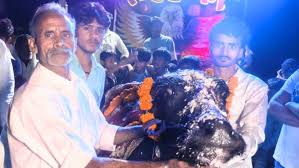 भैंसा बना स्टार! गांव में मना जन्मदिन! डीजे, केक और दावत के साथ सेलिब्रेशन