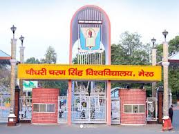 CCS विवि में गुंडागर्दी! विक्रम मावी गैंग की फायरिंग का वीडियो आया सामने