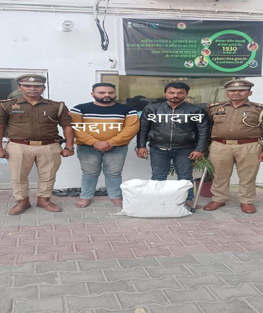 मेरठ में अवैध गांजा के साथ दो तस्कर गिरफ्तार, 10 किलो बरामद