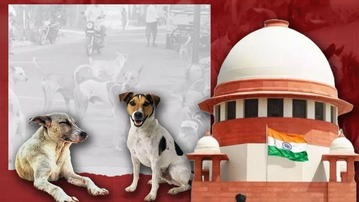 सुप्रीम कोर्ट के कुत्ता हटाओ आदेश पर देशव्यापी बहस: यूथ कांग्रेस बोली- बेजुबानों की आवाज बनकर लड़ेंगे, यह फैसला वैज्ञानिक और कानूनी रूप से गलत