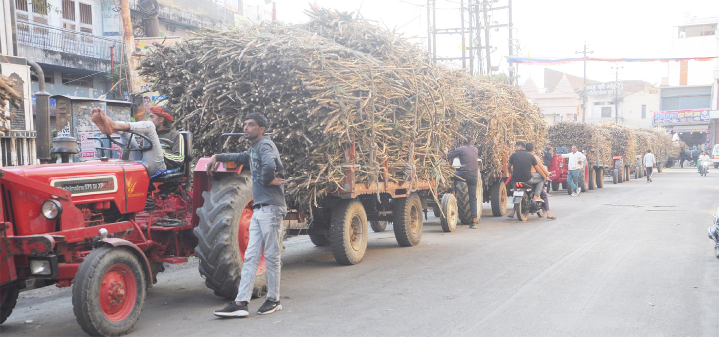 शामली में अपर दोआब शुगर मिल पर गन्ने के वाहनों की भीड़ से जाम की स्थिति