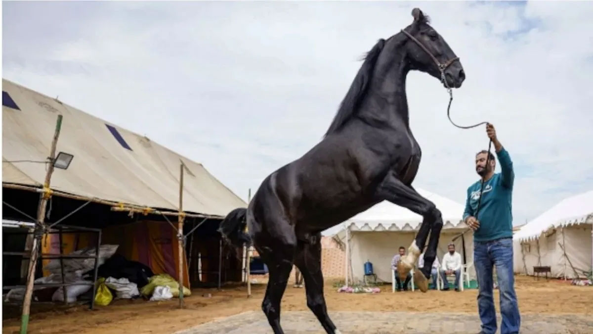 अब घोड़े बेचने पर भी देना होगा टैक्स! पुष्कर मेले में पहली बार लगा GST  सरकार ने शुरू किया सख्त मॉनिटरिंग सिस्टम