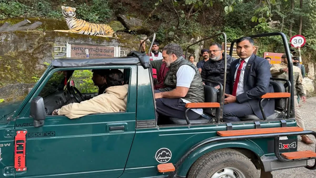 राहुल गांधी का पचमढ़ी दौरा: वोट चोरी पर बीजेपी-चुनाव आयोग पर गंभीर आरोप, जंगल सफारी का भी आनंद लिया