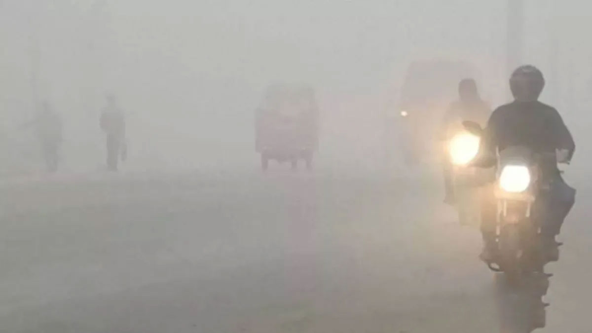 नारनौल फिर बना सीजन का सबसे ठंडा शहर: शीतलहर की चपेट में हरियाणा, तापमान में तेज गिरावट