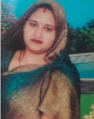 गाज़ियाबाद में बंदरों का आतंक: दीवार गिरने से महिला की मौत, कई घायल