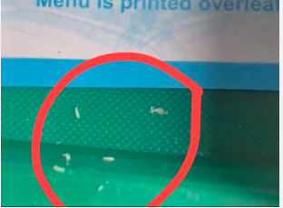 मेरठ–लखनऊ वंदे भारत ट्रेन: खाने की ट्रे में कीड़े, यात्री ने सोशल मीडिया पर शेयर किया VIDEO