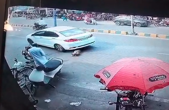 शामली: सड़क पर लेटे बेजुबान कुत्ते को कार ने रौंदा, CCTV में कैद हुई दर्दनाक घटना