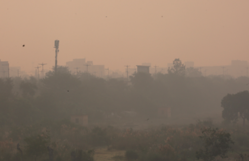 दिल्ली-एनसीआर में छाई घनी धुंध, कई इलाकों में वायु गुणवत्ता ‘गंभीर’ श्रेणी में पहुंची