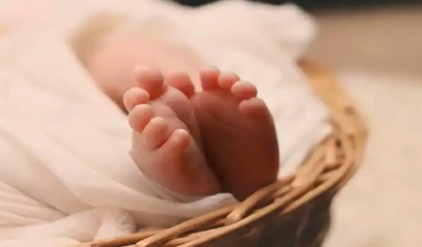 ग्रेटर नोएडा में कूड़े के ढेर में मिला सात माह का भ्रूण, डीएनए से तलाश होगी माता-पिता की जांच 