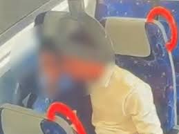 नमो भारत ट्रेन में आपत्तिजनक हरकत: स्कूल ड्रेस पहने युवक-युवती का वीडियो वायरल, पुलिस और RRTS ने शुरू की जांच