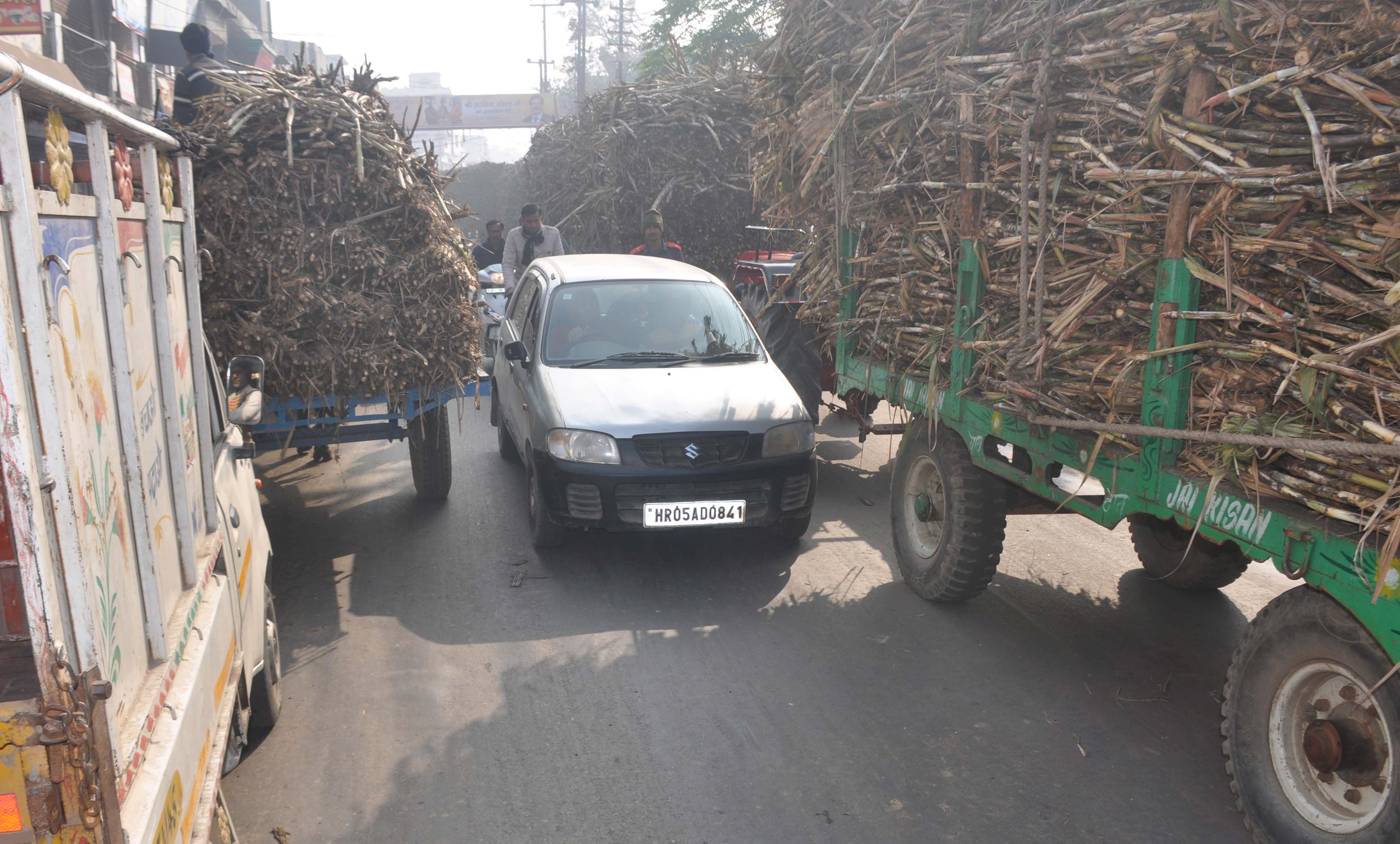 तकनीकी खराबी से शामली शुगर मिल में पेराई प्रभावित, गन्ना वाहनों से लगा जाम