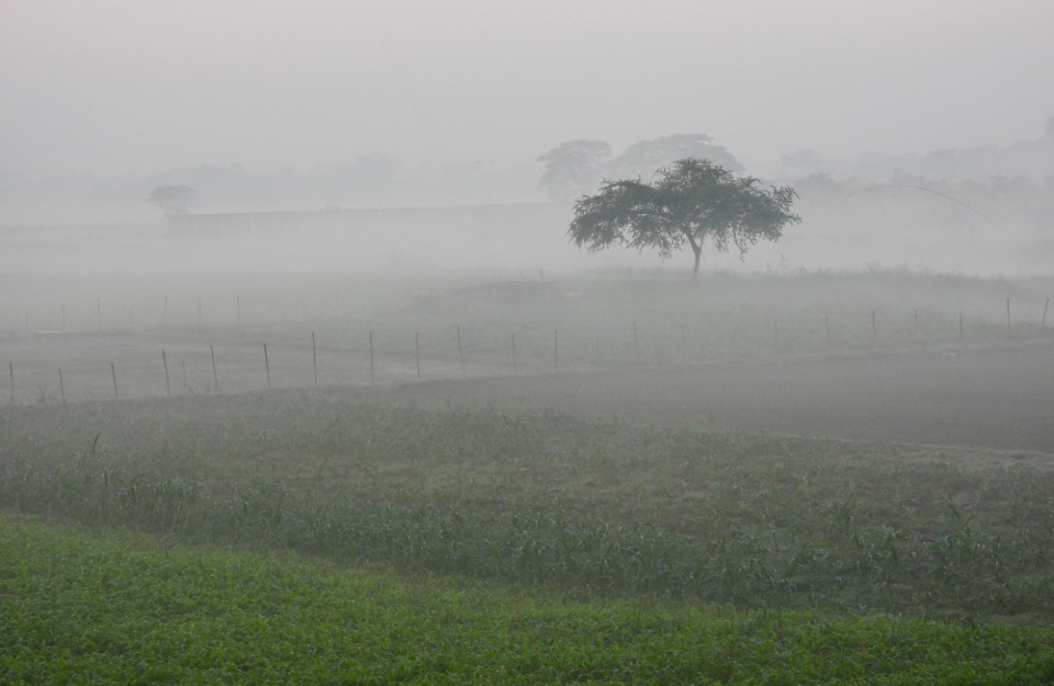 यूपी में हाड़ कंपाने वाली ठंड: मौसम विभाग का ऑरेंज अलर्ट जारी, घने कोहरे की चादर में लिपटे कई शहर