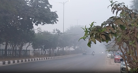 उत्तर प्रदेश में ठंड और घने कोहरे ने बढ़ाई परेशानी, दृश्यता हुई कम